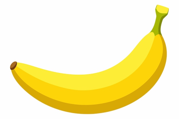 Vector creativo de plátano y ilustración de color