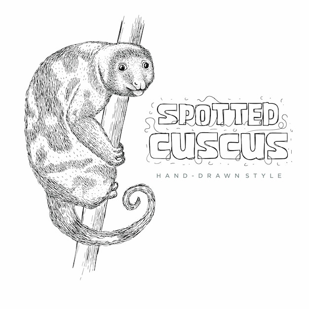 Vector Cuscus manchado trepando un árbol. dibujado a mano ilustración animal