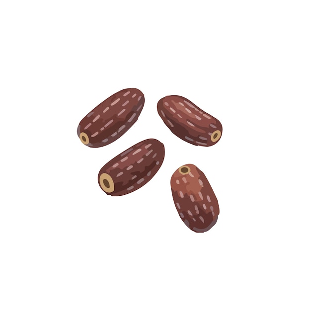Vector de los dátiles Vector de las frutas