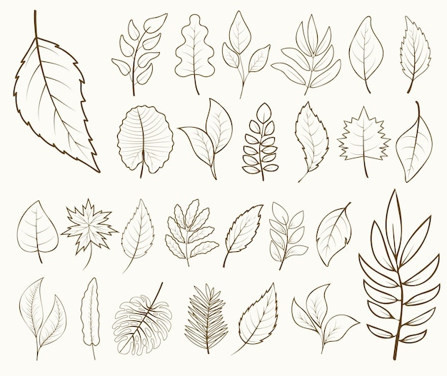 Vector delineado follaje de diferentes árboles para tarjetas decoraciones de logotipos diseños cosméticos pegatinas