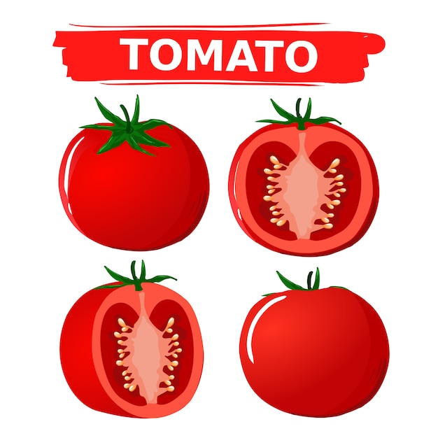 Vector determinado del diseño de la historieta del tomate y colección determinada del tomate de la rebanada de comida de la dieta sana.