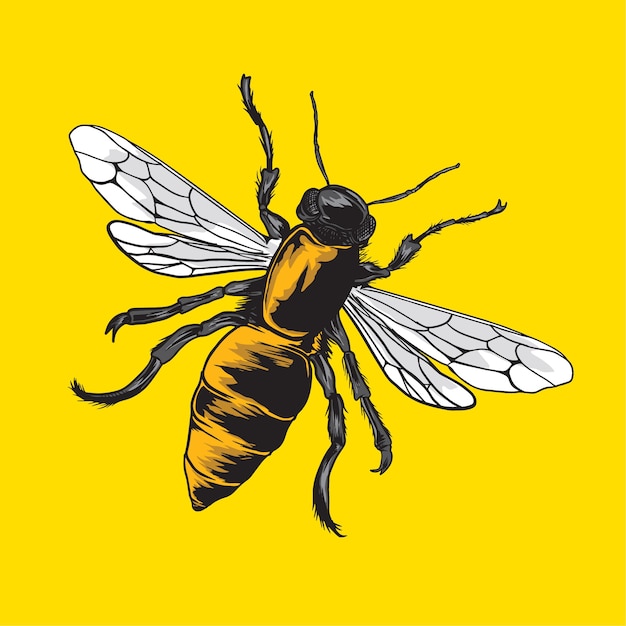 Vector dibujado a mano de abeja