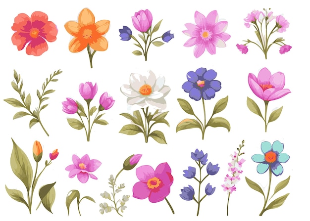 Vector dibujado a mano acuarela colección de flores de primavera
