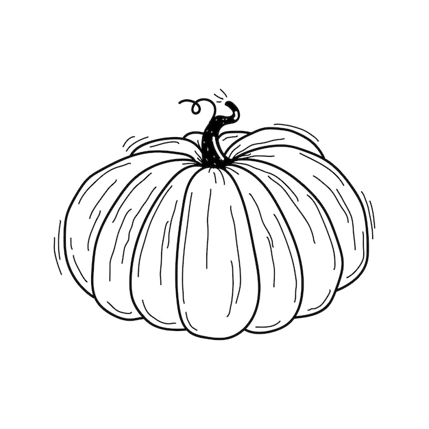 Vector dibujado a mano boceto en blanco y negro de calabaza redonda aislada sobre fondo blanco