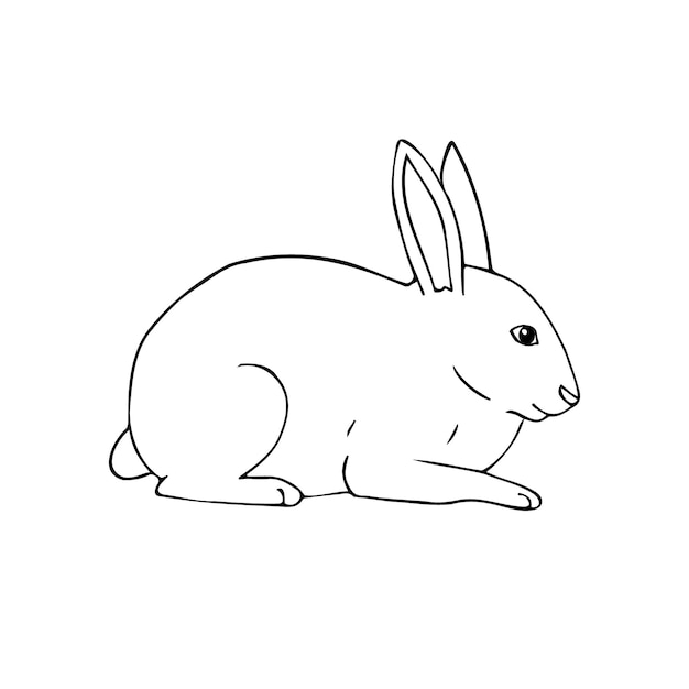 Vector dibujado a mano boceto de conejo conejo