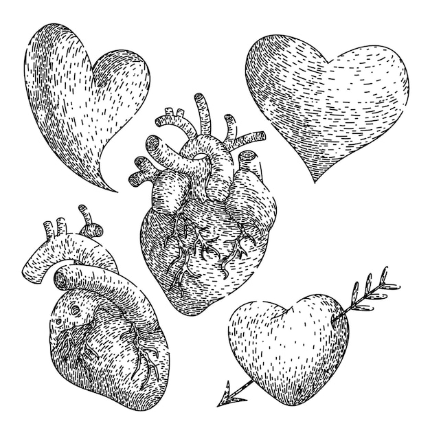 Vector dibujado a mano con un boceto de corazón