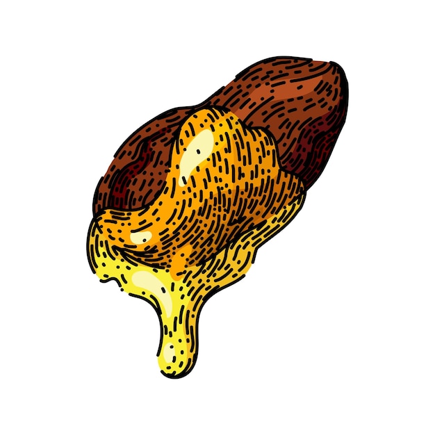 Vector dibujado a mano de bosquejo amarillo de aceite de jojoba