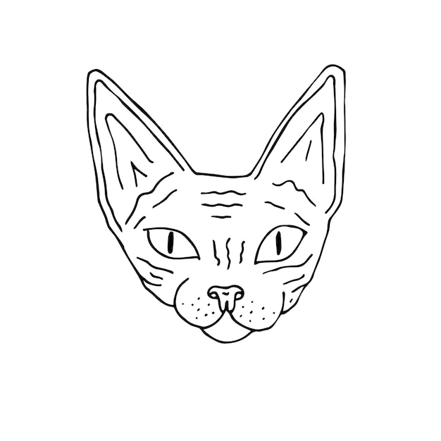 Vector dibujado a mano cara de gato Sphynx