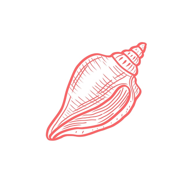 Vector dibujado a mano de la concha mediterránea