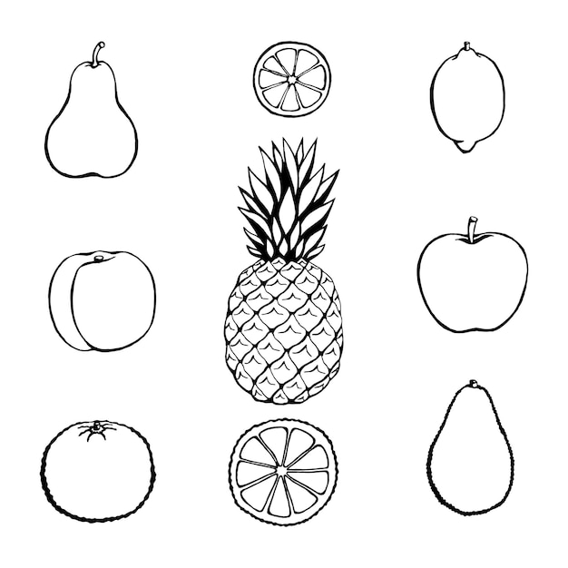 Vector dibujado a mano conjunto de iconos de frutas. Menú de restaurante de productos agrícolas de colección de estilo retro decorativo, etiqueta de mercado.