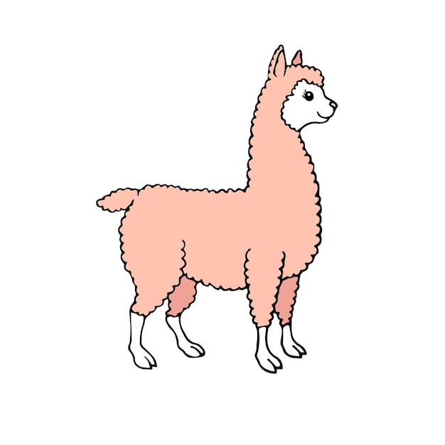 Vector dibujado a mano dibujado de colores llama alpaca