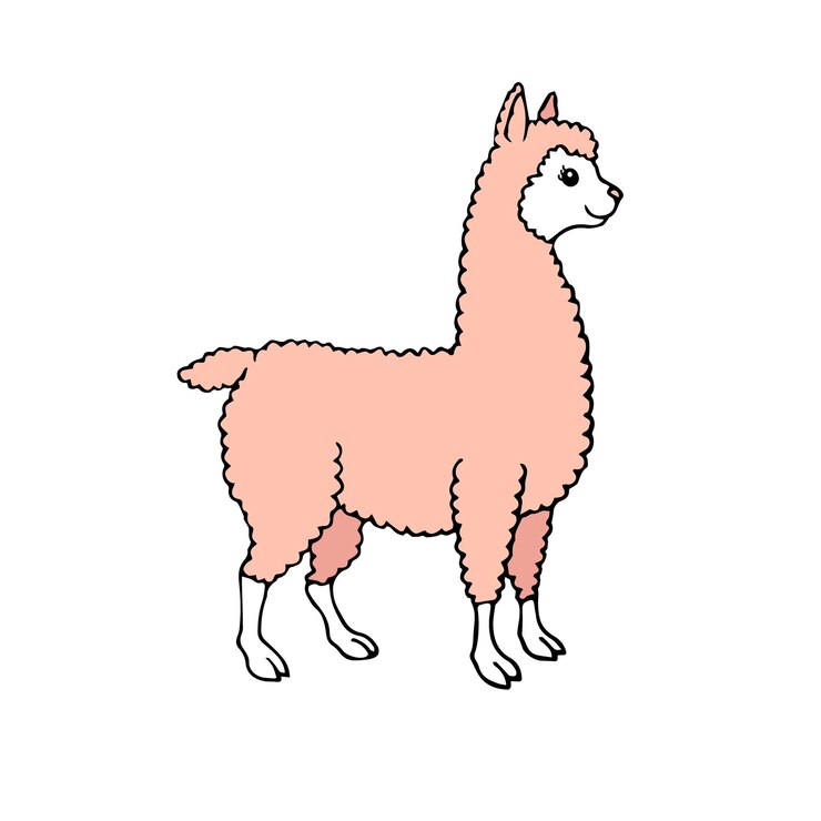 Vector vector dibujado a mano dibujado de colores llama alpaca