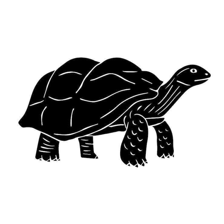 Vector vector dibujado a mano garabato boceto tortuga negra