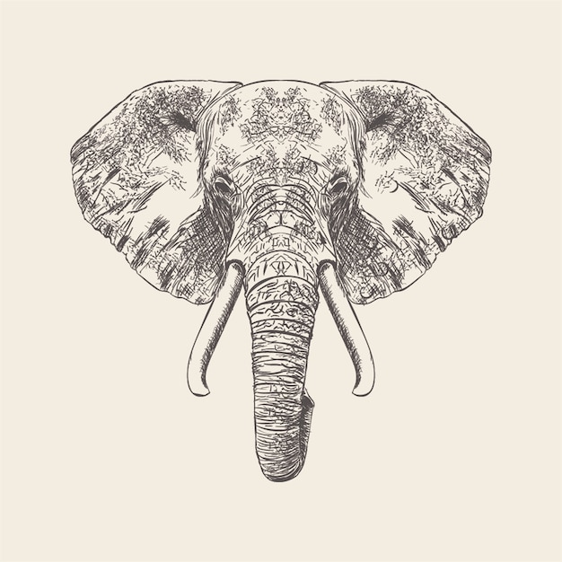 Vector dibujado mano de la ilustración de la cara del elefante.