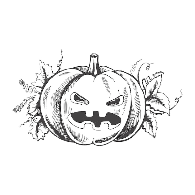 Vector dibujado a mano Ilustración de Halloween Estilo retro detallado dibujado a mano divertido y aterrador boceto de calabaza aislado sobre fondo blanco Elemento de boceto vintage para etiquetas de embalaje y diseño de tarjetas