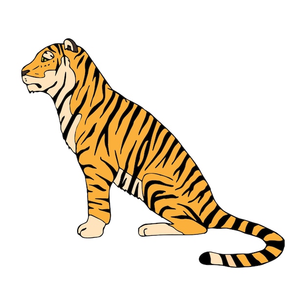 Vector dibujado a mano tigre aislado sobre fondo blanco.