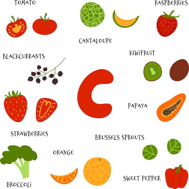 vector dibujar a mano frutas y verduras ricas en ácido ascórbico Fuentes de alimentos infografía de vitamina C