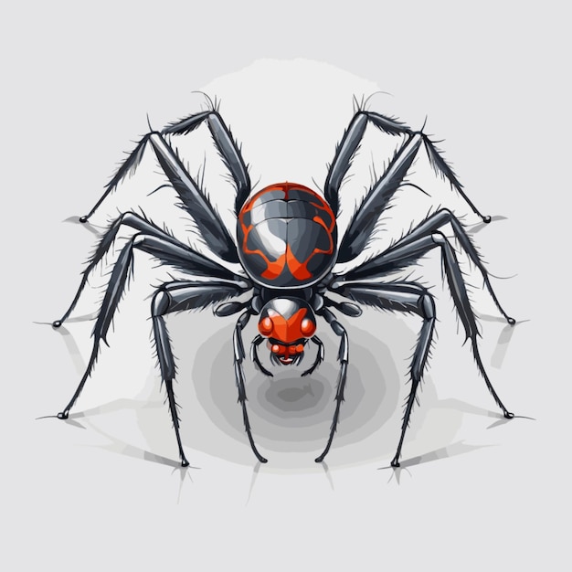 Vector vector de dibujo de araña