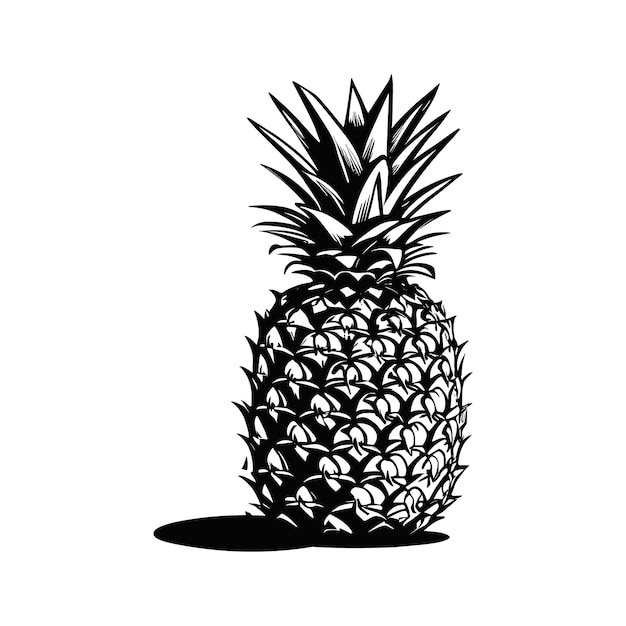 Vector un dibujo en blanco y negro de una piña con la parte superior de ella