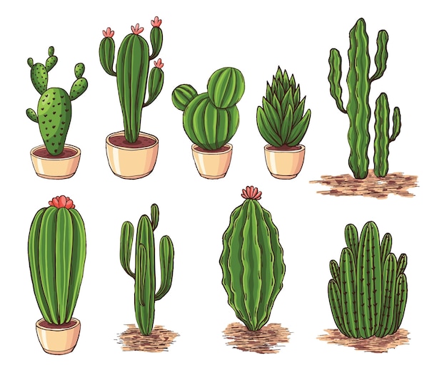 Vector de dibujo de colección de cactus de color de estilo Doodle