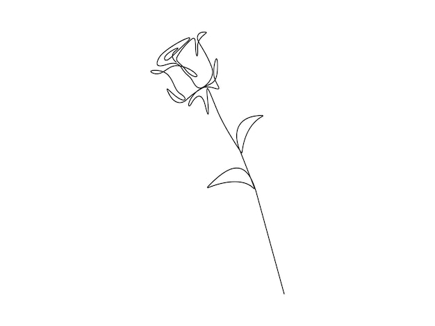 Vector de dibujo continuo de una línea de flor de rosa Ilustración de vector premium