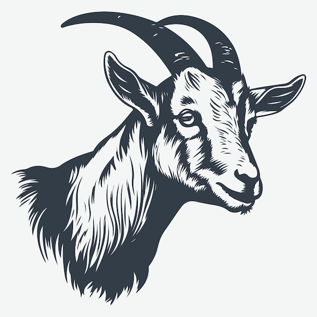 Vector de dibujo de grabado en madera de animal de la granja de cabeza de cabra
