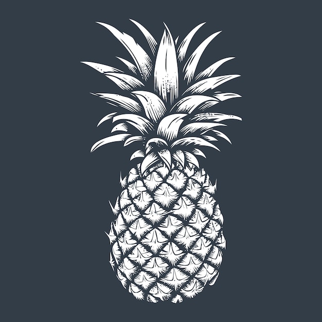 Vector vector de dibujo de grabado en madera de frutas de piña