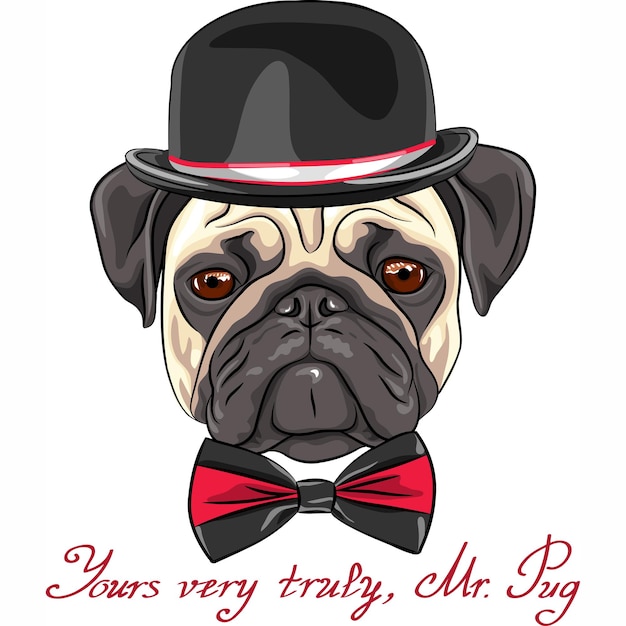 Vector dibujo hipster perro pug raza