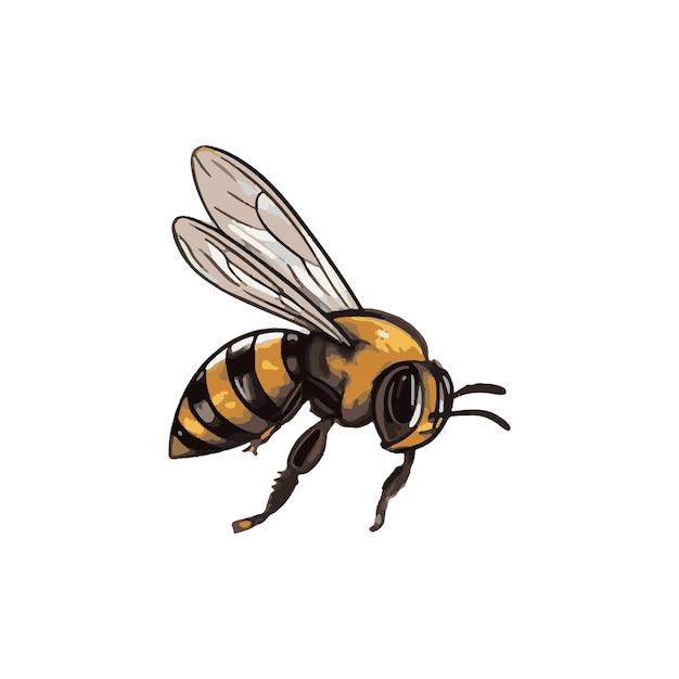 vector de dibujo de insecto abeja para etiqueta de miel