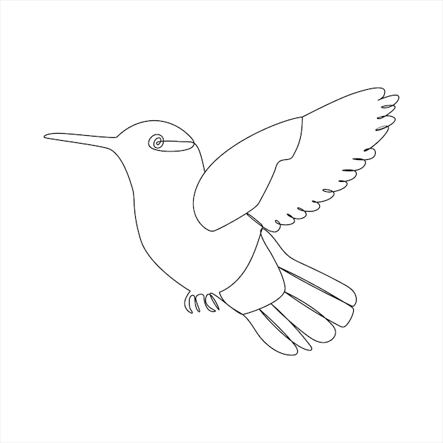 Vector en un dibujo de línea continua del mejor uso del colibrí para el cartel del logotipo