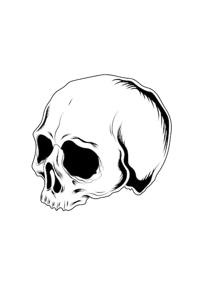 Vector de dibujo de mano de cabeza de calavera