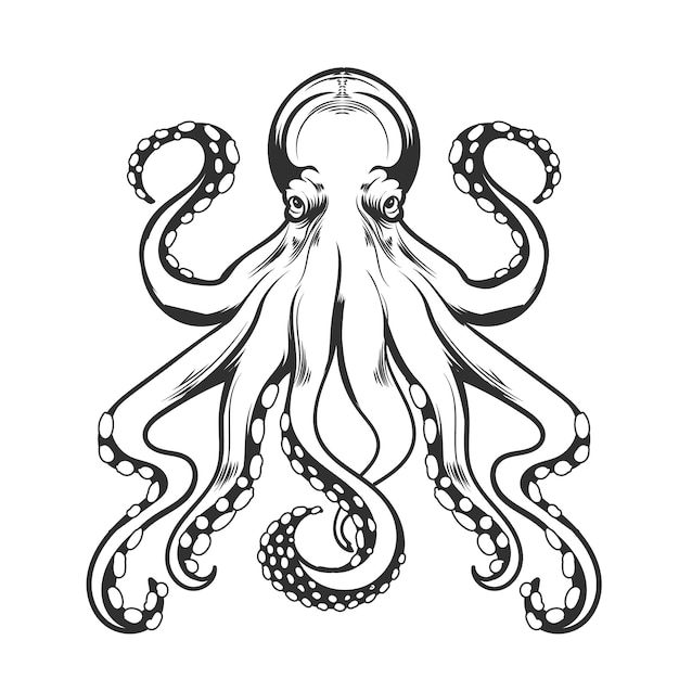 Vector de dibujo a mano de pulpo