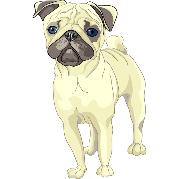 Vector dibujo perro raza pug cervatillo