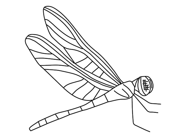 Vector de dibujo sencillo de libélula