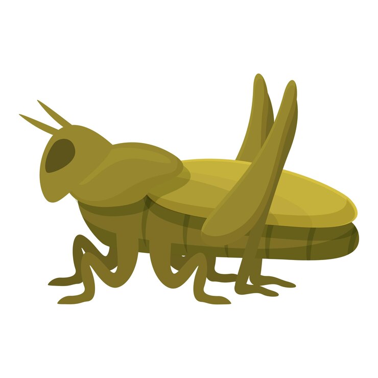 Vector vector de dibujos animados de animales saltamontes salto de color