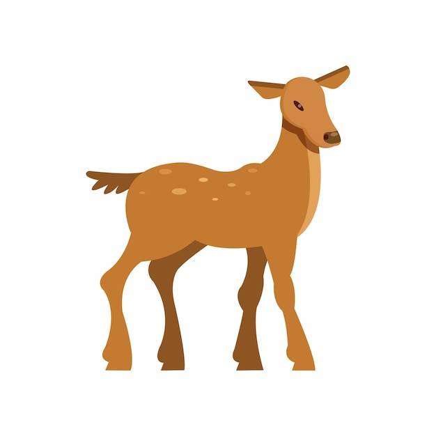 Vector de dibujos animados de animales salvajes de corzo en barbecho manchado elegante ilustración sobre un fondo blanco