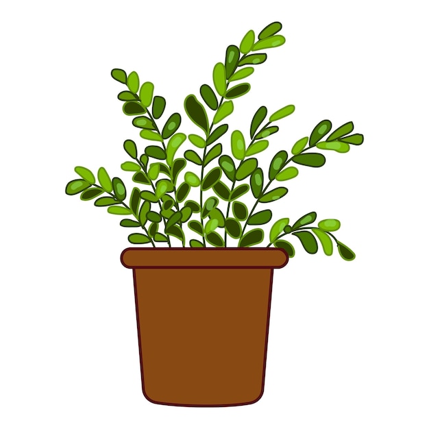 Vector de dibujos animados de la botella de la rama de la planta de jardín Jardín de ventanas