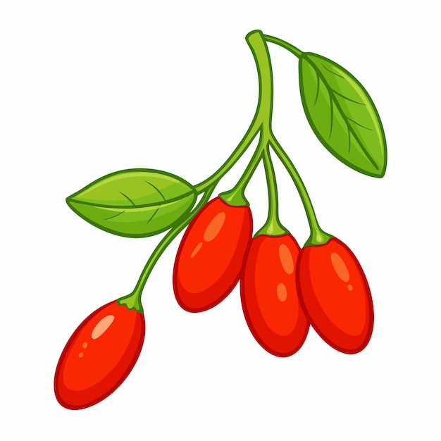 Vector dibujos animados dibujados a mano Goji Berries en rama sobre un fondo blanco aislado 20