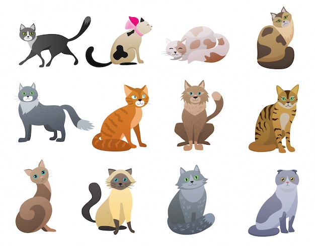 Vector vector de dibujos animados divertido y lindo gato diferentes razas conjunto de caracteres de mascotas.