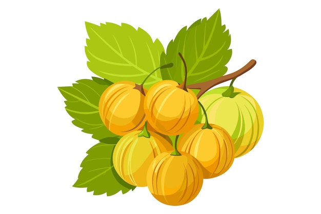 Vector de dibujos animados de grosella Ilustración concepto de obra de arte de estilo plano aislado contra un fondo blanco