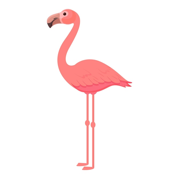Vector de dibujos animados de icono de flamenco de pluma Flamenco de verano Lindo pájaro rosa