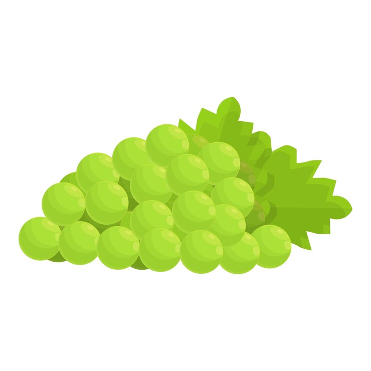 Vector de dibujos animados de icono de uvas verdes francesas Uva de vino de Francia Uvas moscatel