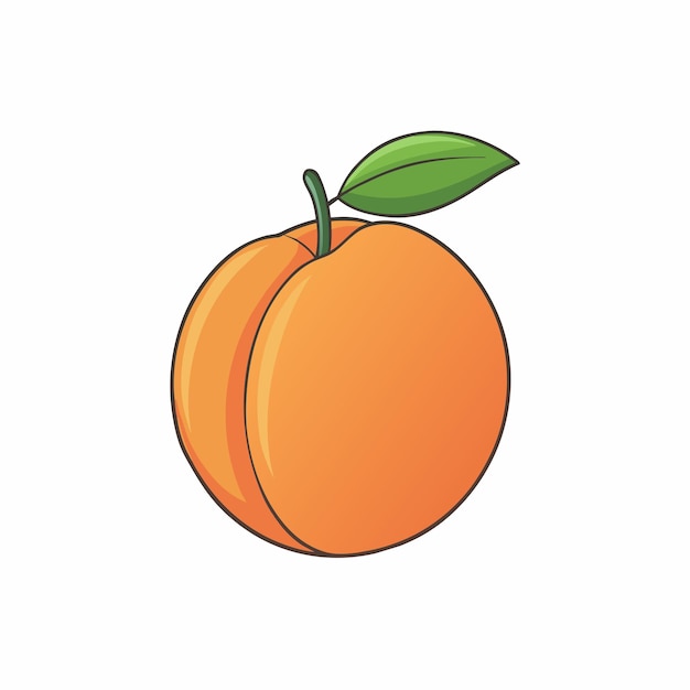 Vector de dibujos animados de melocotón Ilustración concepto de obra de arte de estilo plano