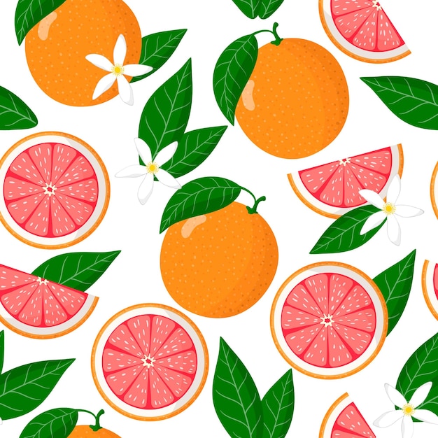 Vector de dibujos animados de patrones sin fisuras con Citrus paradisi o pomelo frutas exóticas, flores y hojas sobre fondo blanco.