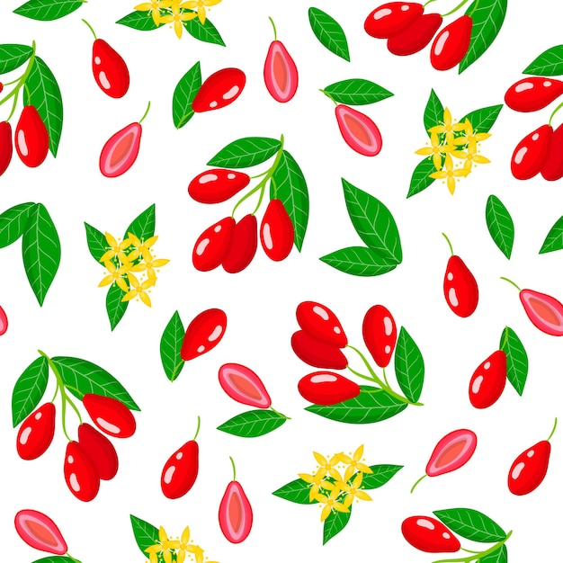 Vector de dibujos animados de patrones sin fisuras con Cornus mas o Dogwood frutas exóticas, flores y hojas