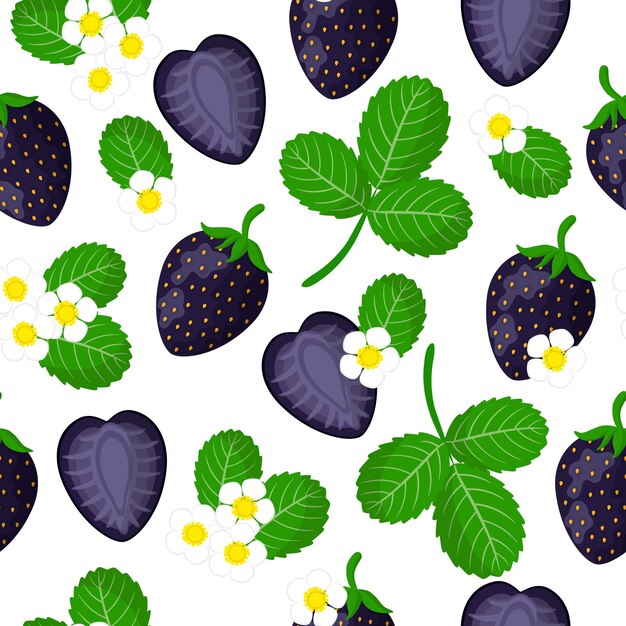 Vector de dibujos animados de patrones sin fisuras con fragaria ananassa o fresas negras frutas exóticas, flores y hojas