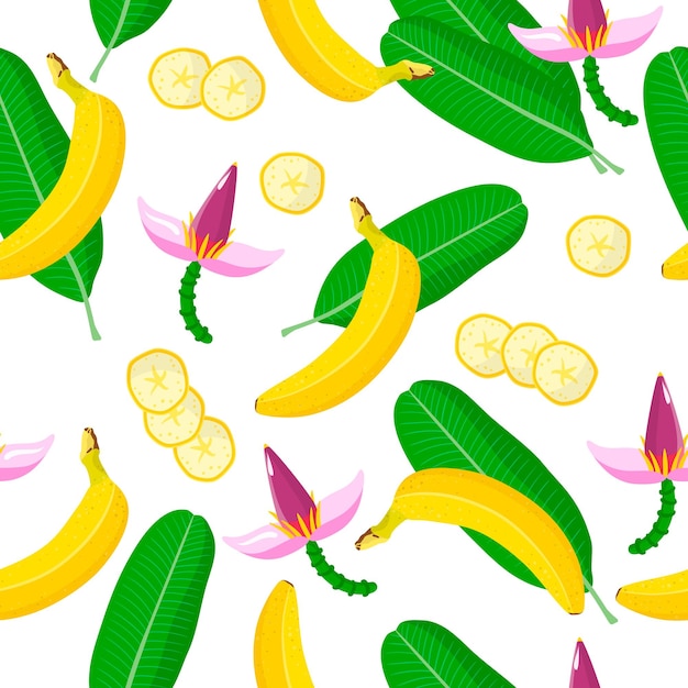 Vector de dibujos animados de patrones sin fisuras con frutas exóticas de plátano, flores y hojas sobre fondo blanco