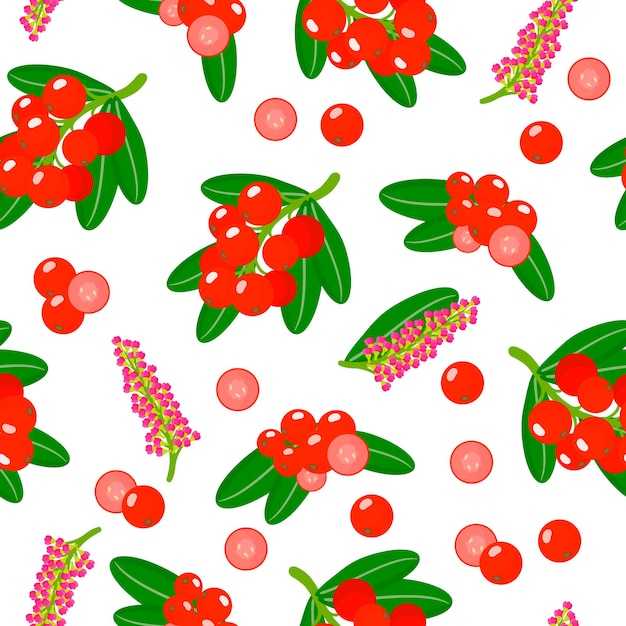 Vector de dibujos animados de patrones sin fisuras con Shepherdia o buffaloberry frutas exóticas, flores y hojas sobre fondo blanco.