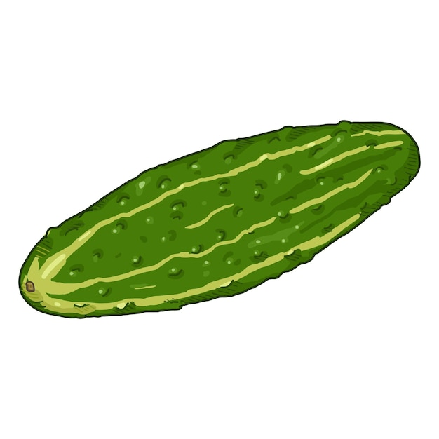 Vector de dibujos animados pepino verde