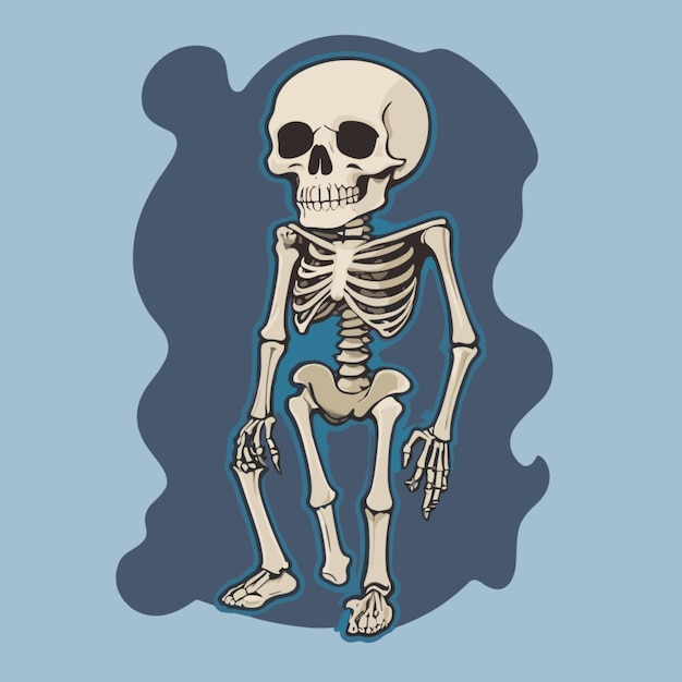 Vector de dibujos animados Skeketon